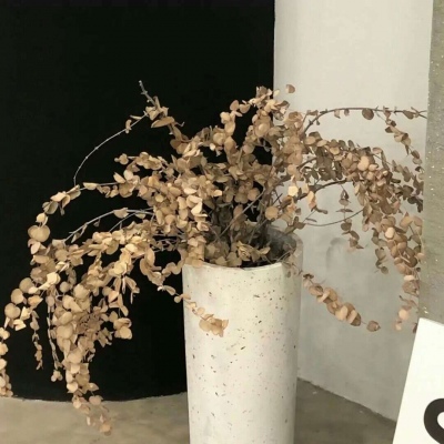 兽设洞穴场景设计福瑞群
